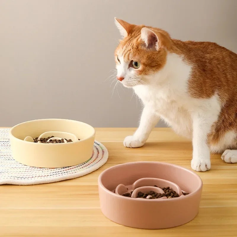 Chat avec deux gamelle Anti Glouton en Forme Rose