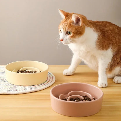 Chat avec deux gamelle Anti Glouton en Forme Rose
