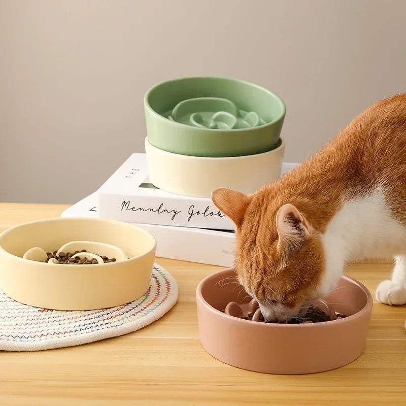 Chat qui mange dans gamelle Anti Glouton