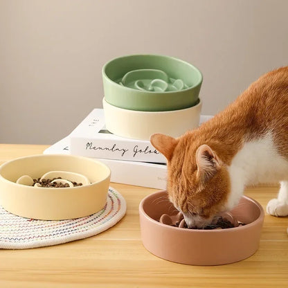 Chat qui mange dans gamelle Anti Glouton