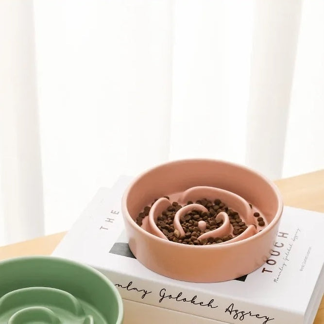 Gamelle Rose Anti Glouton