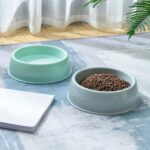 gamelle chien plastique pour chien et chat