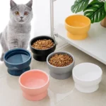Gamelle céramique haute pour chat et chaton