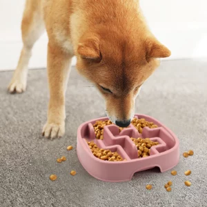 gamelle anti glouton labyrinthe pour chiens et chats