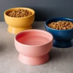 Gamelle céramique haute pour chiens et chats