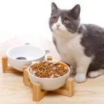 gamelle céramique animaux avec chat et croquette
