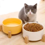 Support en bambou pour gamelle céramique durable pour animaux