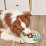 Gamelle pour chien anti-glouton, motif ananas coloré et attrayant