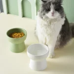 Gamelle surélevée céramique pour animaux, idéale pour un repas confortable.