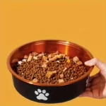 Gamelle inox métallisé pour chiot et chien