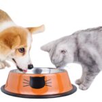 gamelle inox chat pour animaux