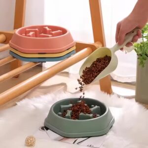 Bol pour chien anti glouton avec design os