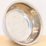 gamelle inox patte pour animal