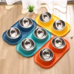 Accessoire pour animaux, gamelle double inclinée pour confort