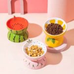 gamelle surélevée céramique fruit pour chiens et chats