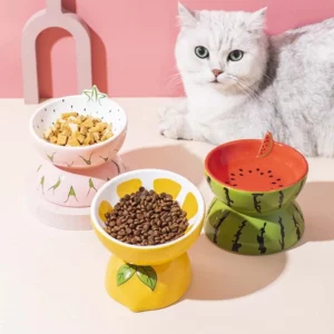 gamelle surélevée céramique fruit pour animaux
