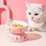 gamelle surélevée céramique fruit pour chien et chat