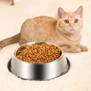 gamelle antidérapante inox pour chat