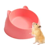 gamelle chat rongeur pour rongeur