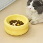 gamelle ronde surélevée pour chat