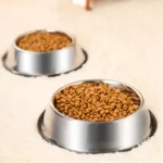 gamelle antidérapante inox pour chien et chat