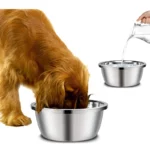 gamelle inox durable pour animal