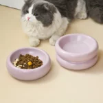 gamelle ronde surélevée pour chien