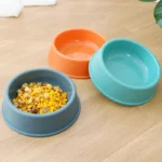 gamelle plastique animaux pour chiot et chaton