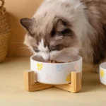 gamelle céramique support bois pour animal