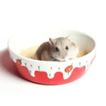 gamelle rongeur crème glacée pour animaux