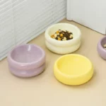 Gamelle ronde surélevée pour chiens, design moderne et ergonomique.