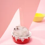 gamelle rongeur crème glacée pour hamster