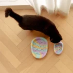 gamelle anti glouton oeuf pour chiens et chats