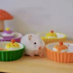 Gamelle en céramique pour rongeurs, motif gâteau