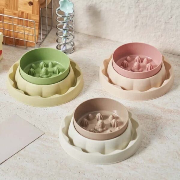 gamelle anti-glouton chien pour animaux