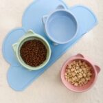 gamelle surélevée chat pour animaux