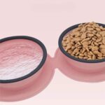 gamelle pliable anti glouton double pour croquettes