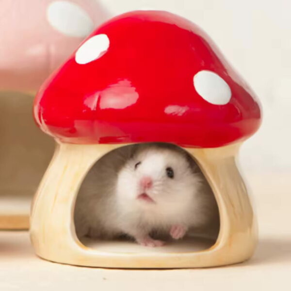 gamelle rongeur céramique pour animaux