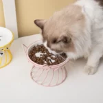 gamelle surélevée support chat pour animal