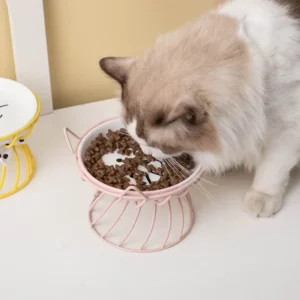 gamelle surélevée support chat pour animal