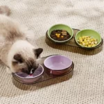 gamelle chien plastique double pour chiens et chats