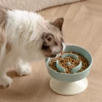 gamelle anti-glouton céramique surélevée pour chiens et chats