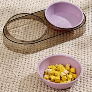 gamelle chien plastique double pour animal