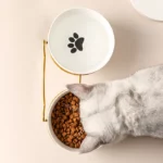 gamelle chien céramique double pour chiot et chaton