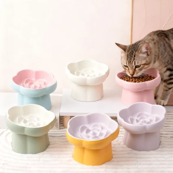 gamelle anti-glouton chat surélevée pour animaux