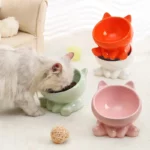 gamelle surélevée chat pour animal
