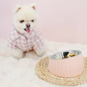 Gamelle Chien Inox Inclinée pour chien et chat