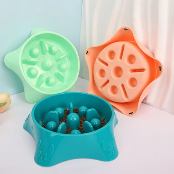 gamelle anti glouton chien etoile pour chien et chat