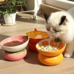 Bol céramique fruit pour animaux de compagnie surélevé