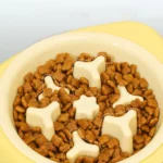 gamelle anti-glouton chat double pour croquettes